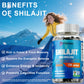 Shilajit Capsules with Fulvic Acid